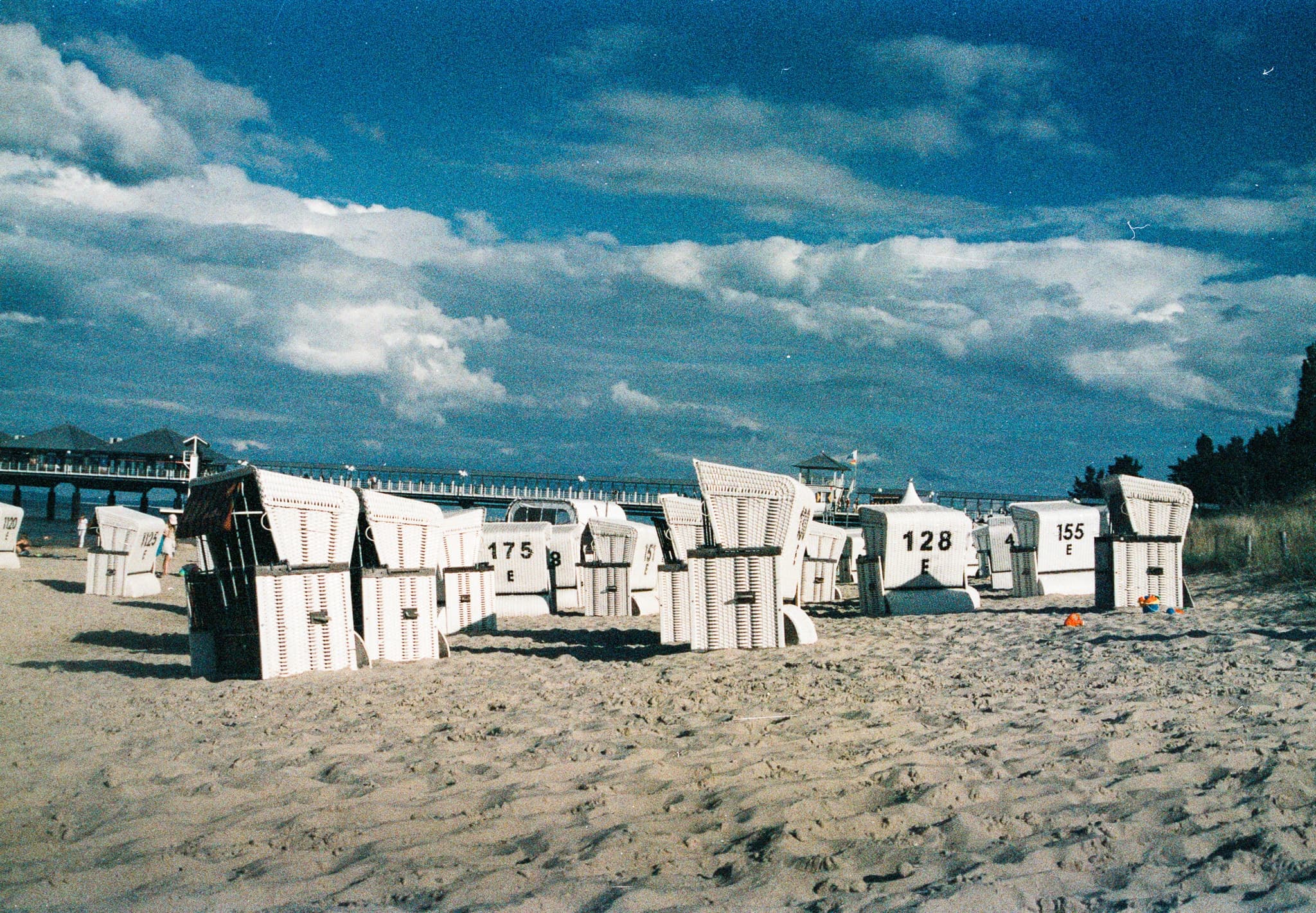 Shot on Pentax ME Super - August 2025