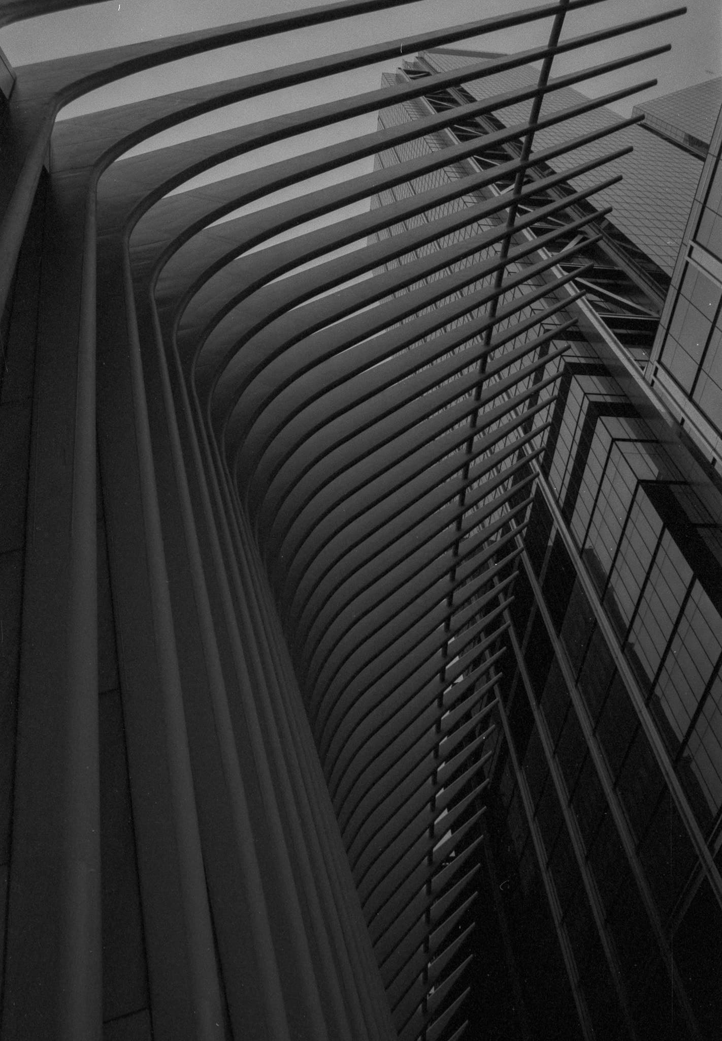 Shot on Pentax ME Super - May 2025