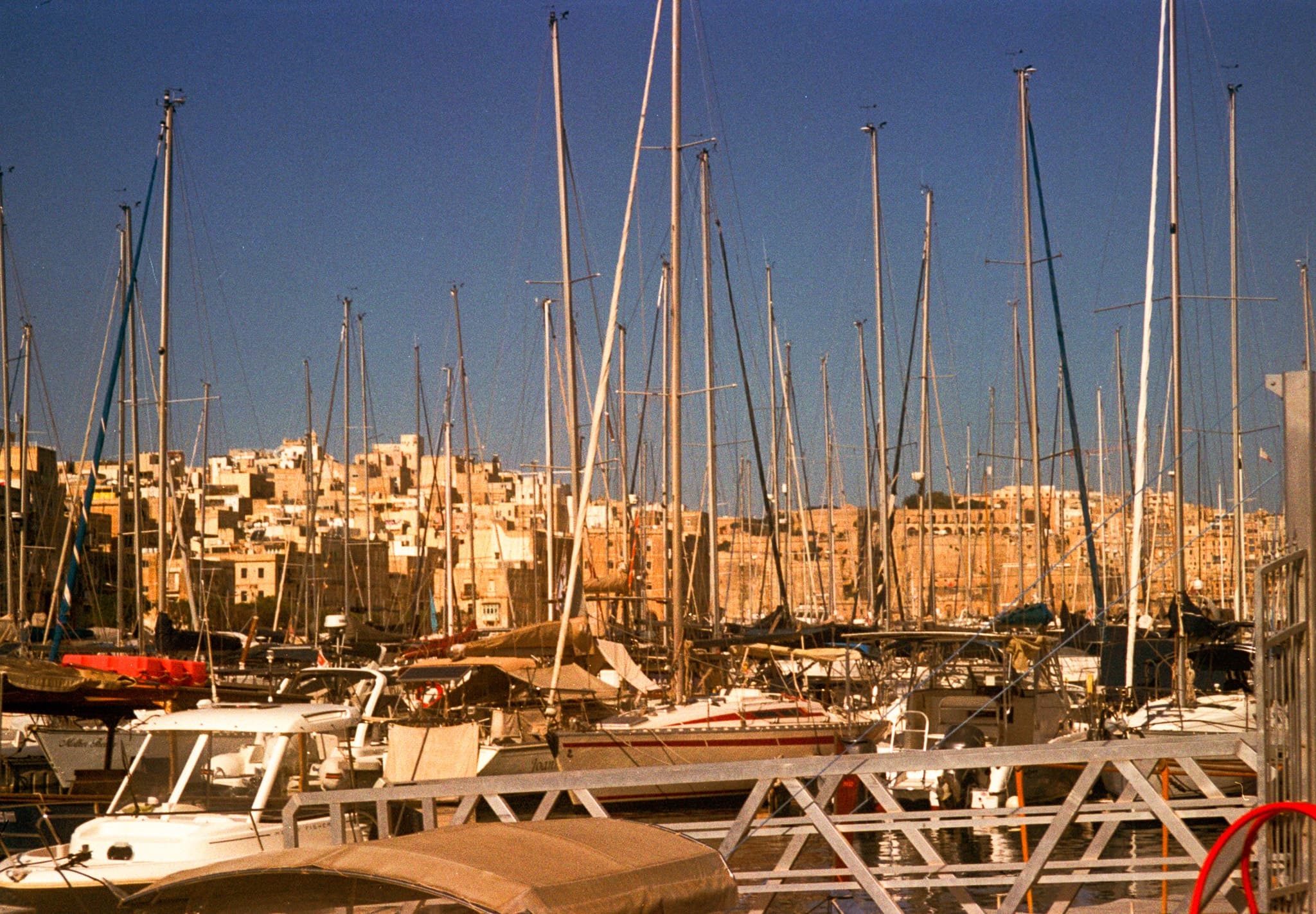 Shot on Pentax ME Super - December 2025