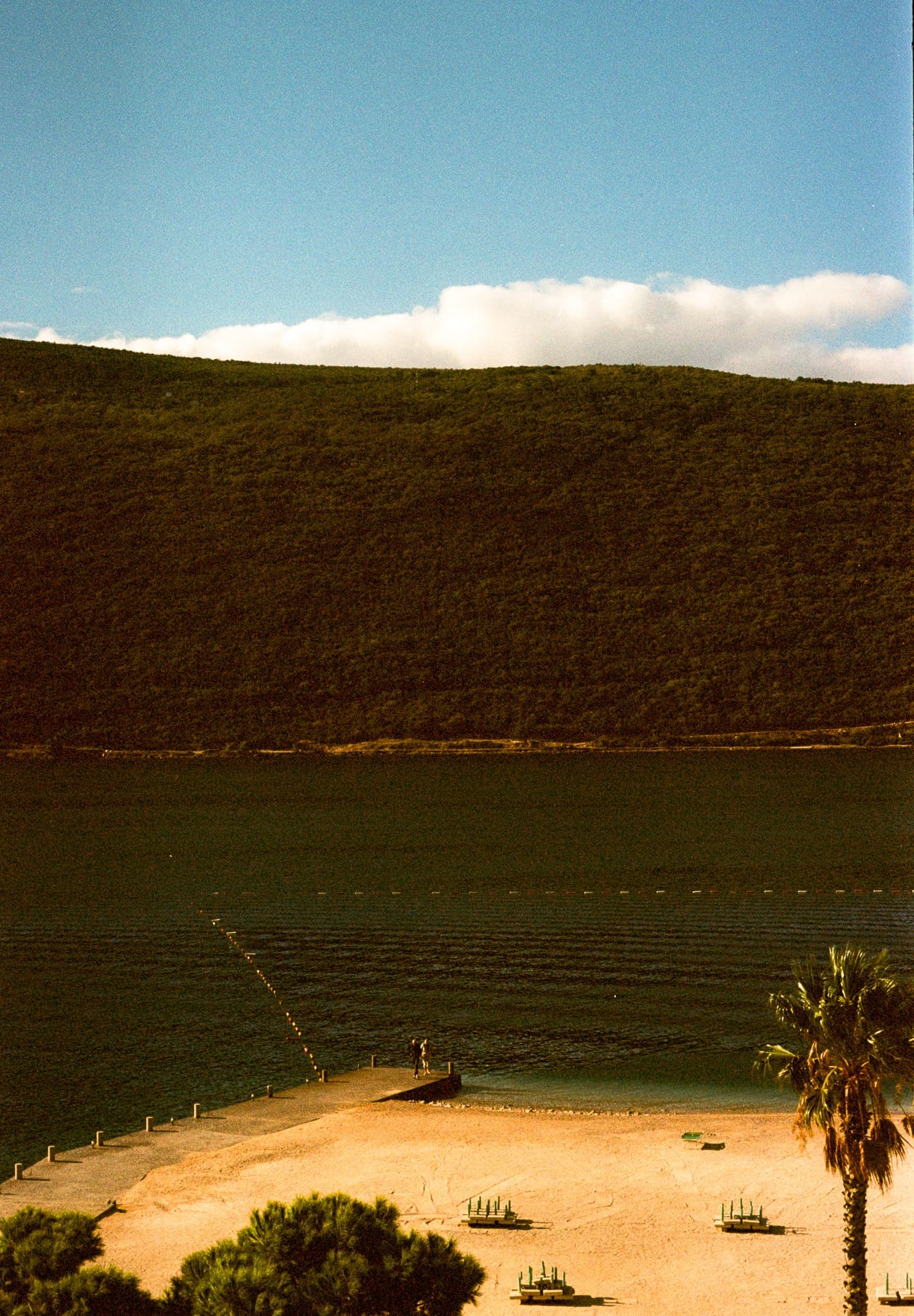 Shot on Pentax ME Super - October 2025