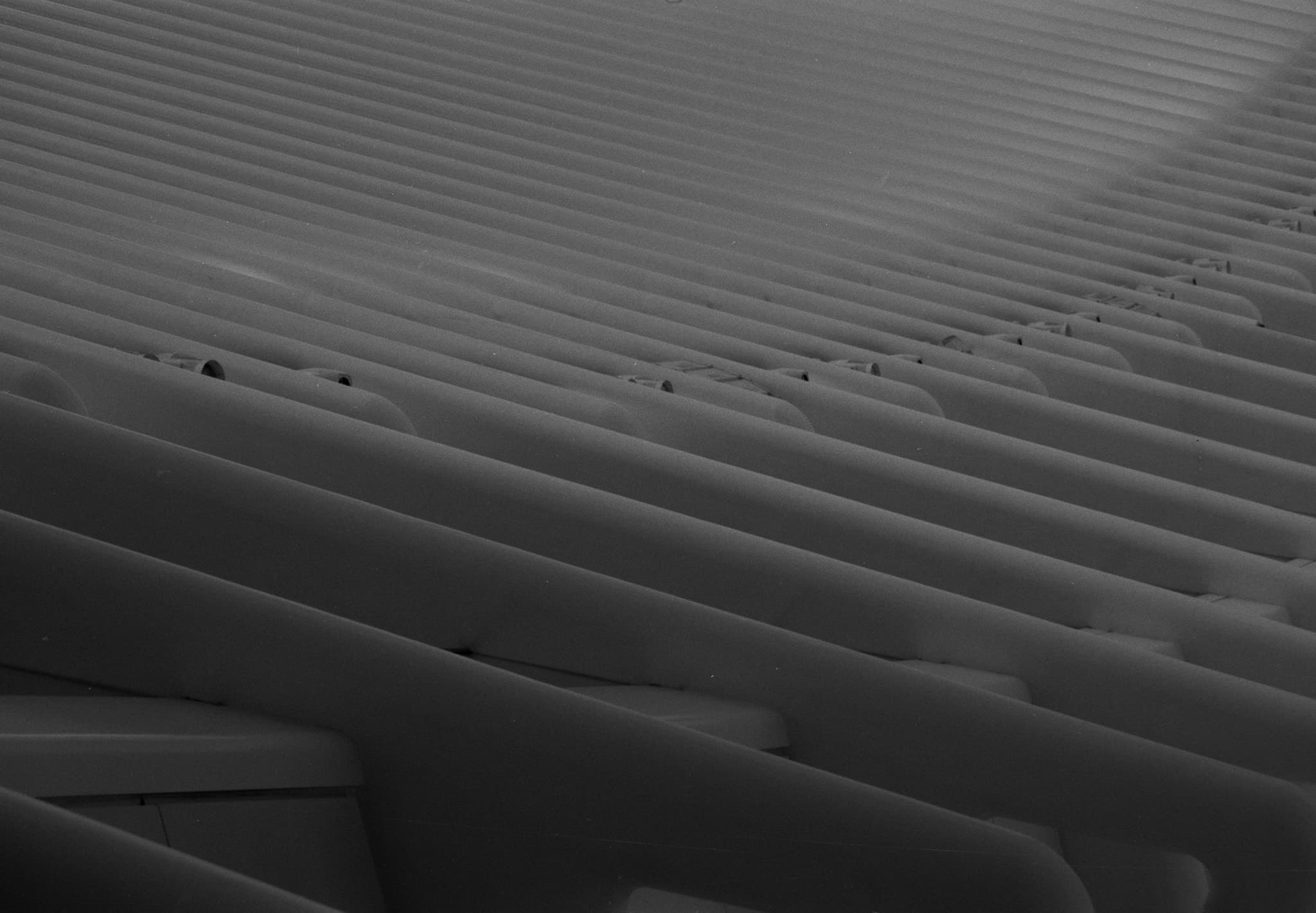 Shot on Pentax ME Super - May 2025