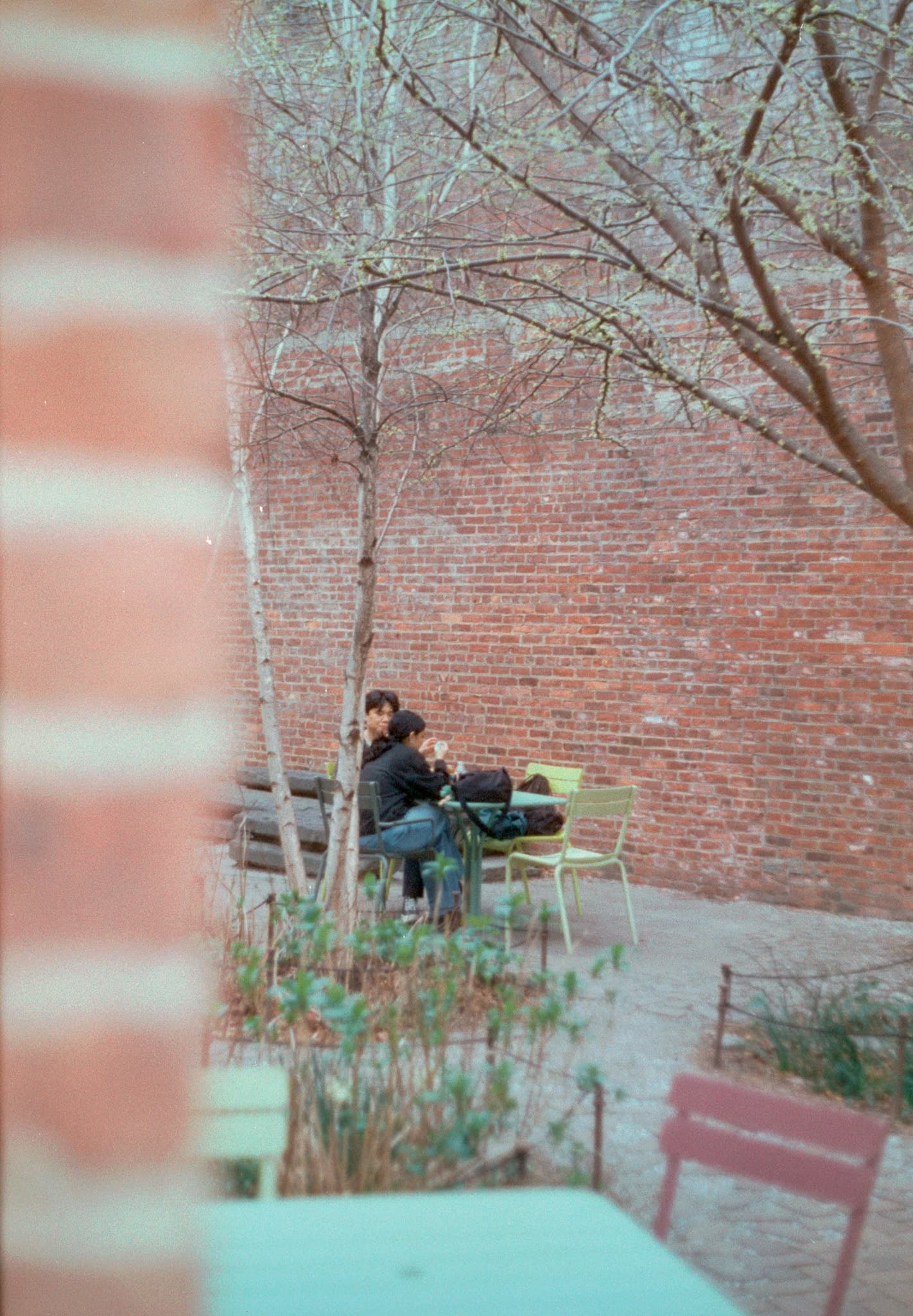 Shot on Pentax ME Super - June 2025