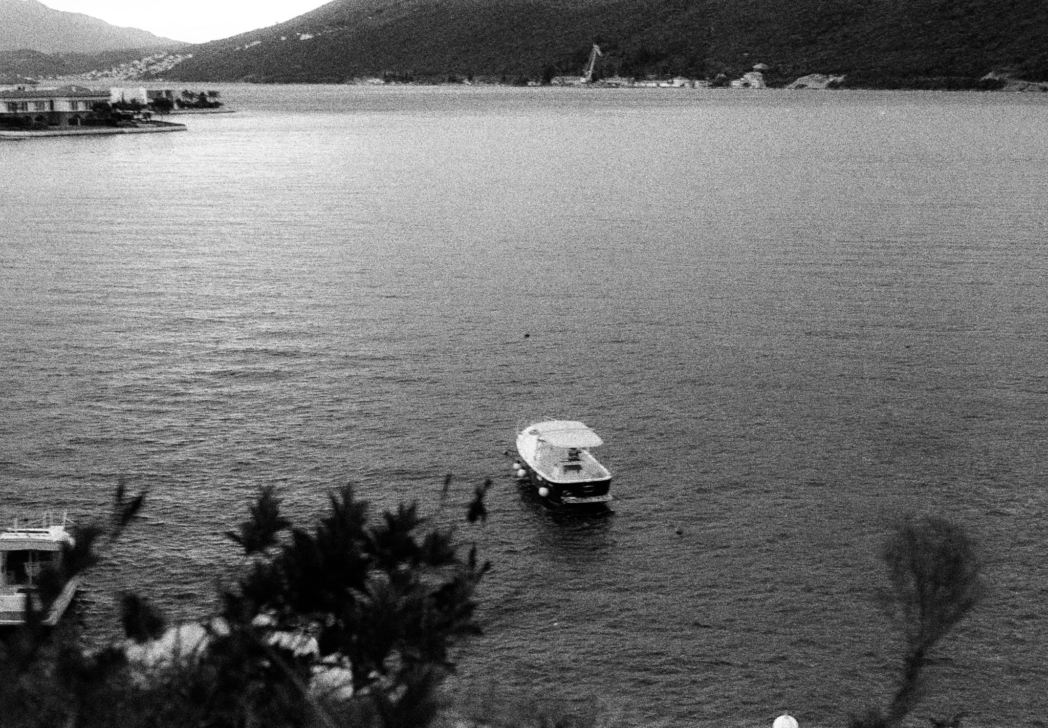 Shot on Pentax ME Super - October 2025