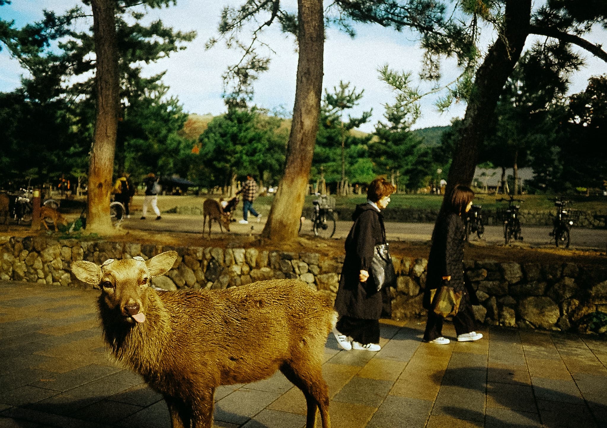 Shot on Leica CL - November 2025