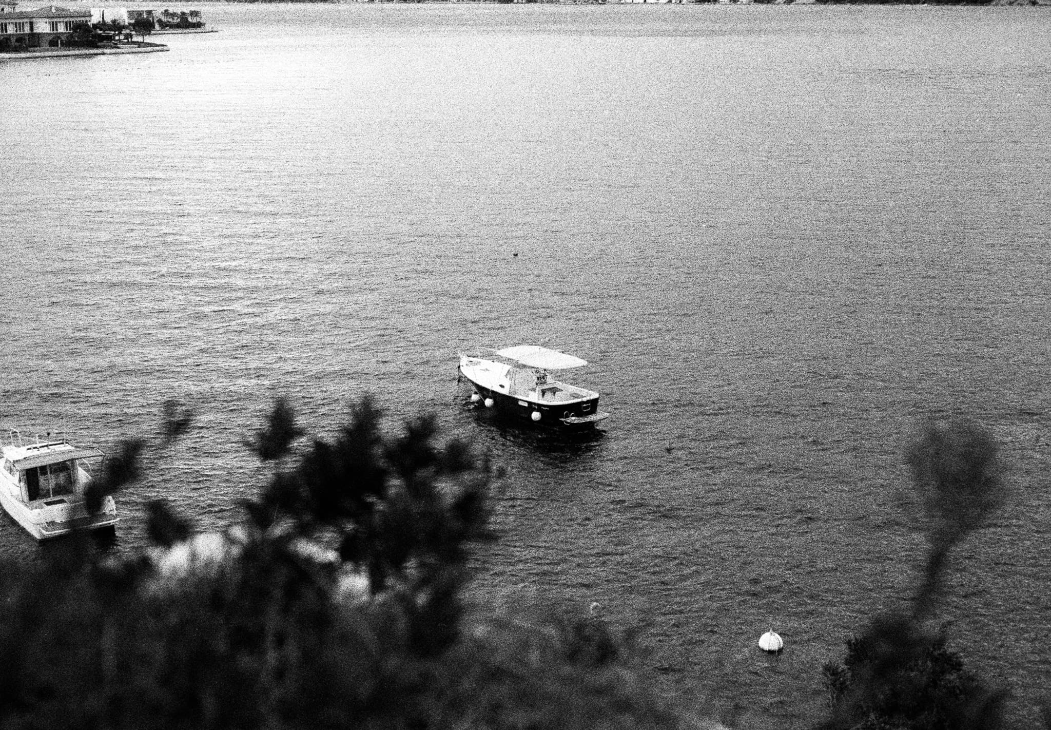 Shot on Pentax ME Super - October 2025