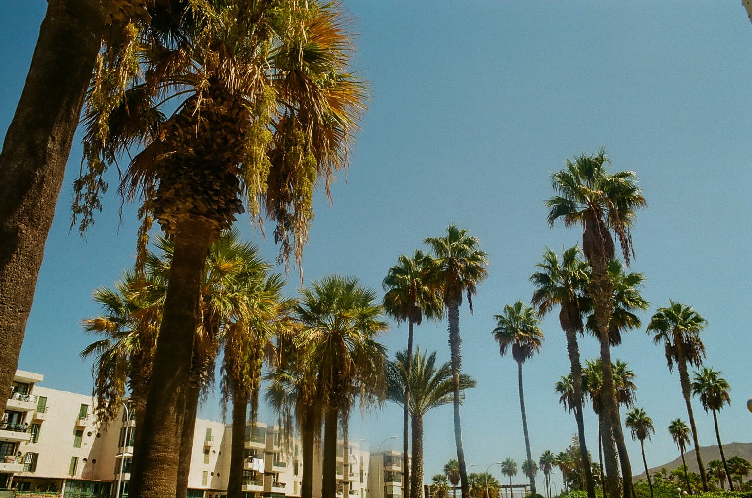 Shot on Pentax Me Super - October 2024