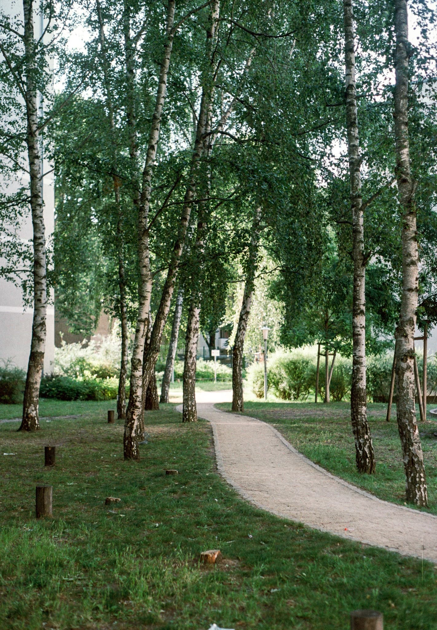 Shot on Pentax ME Super - July 2025