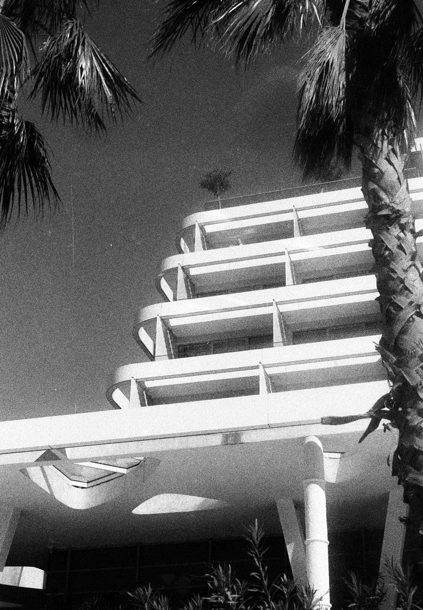 Shot on Pentax ME Super - October 2025