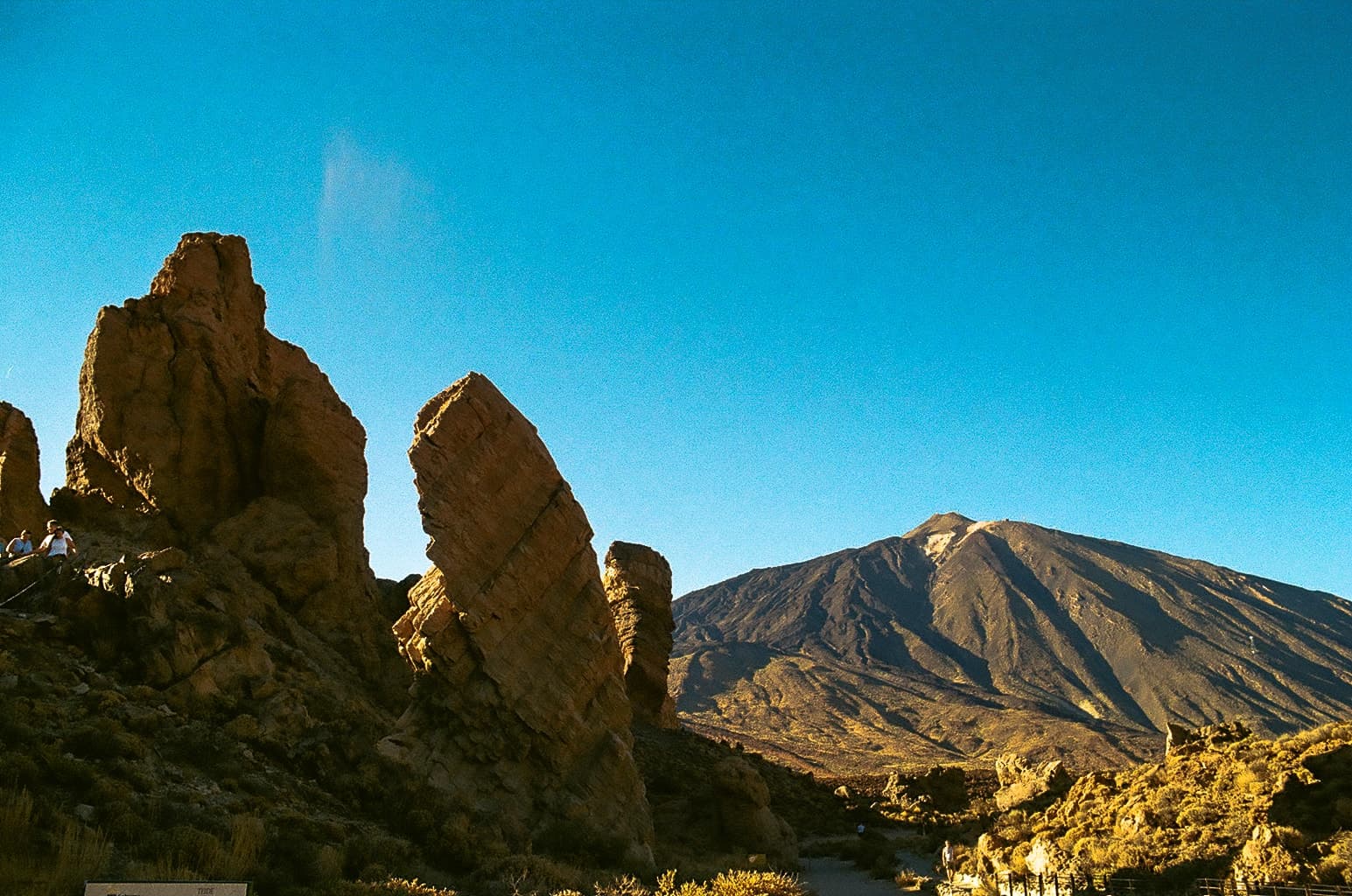 Shot on Pentax Me Super - October 2024