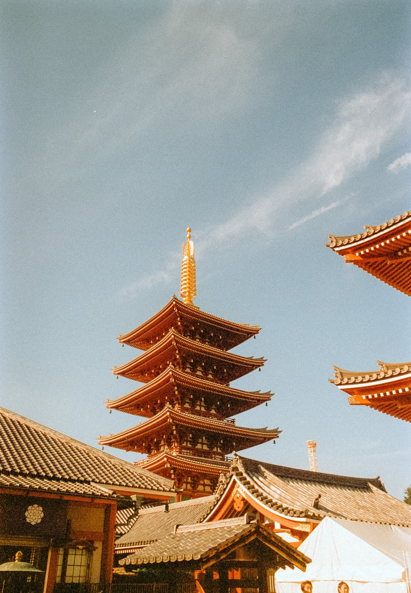 Shot on Pentax ME Super - November 2025