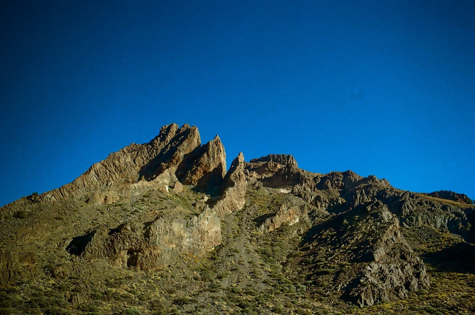 Shot on Pentax Me Super - October 2024