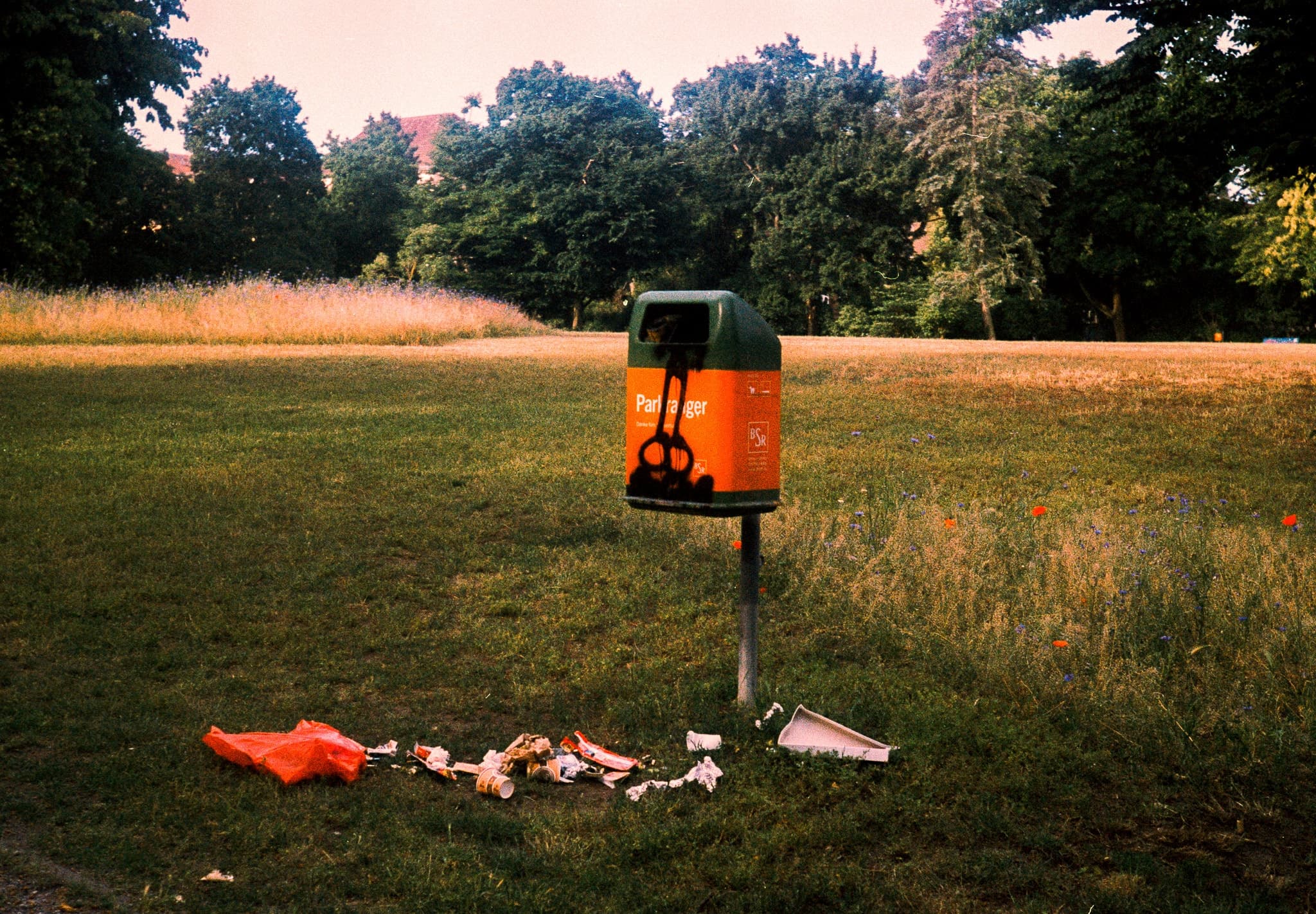 Shot on Pentax ME Super - July 2025