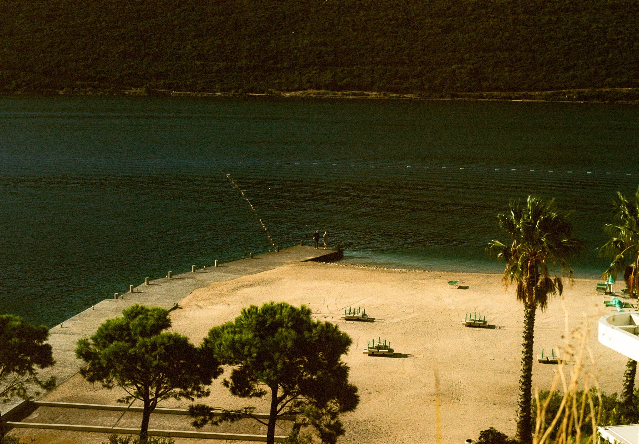 Shot on Pentax ME Super - October 2025