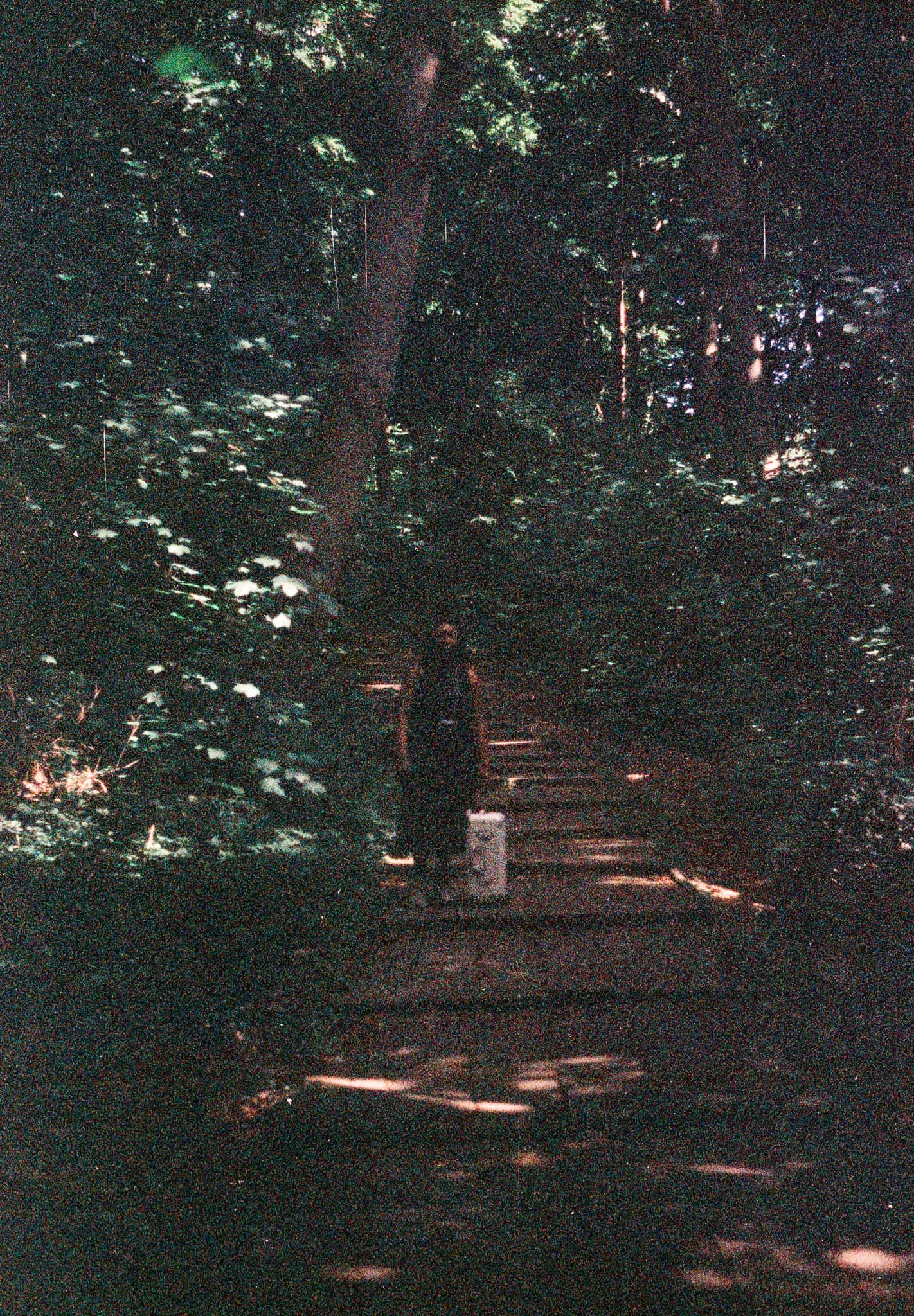 Shot on Pentax ME Super - August 2025