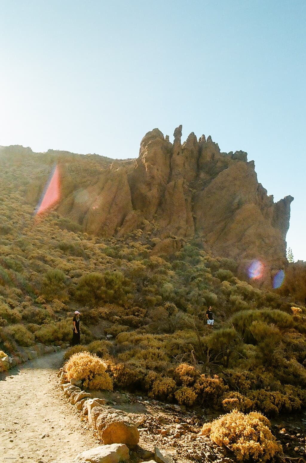 Shot on Pentax Me Super - October 2024