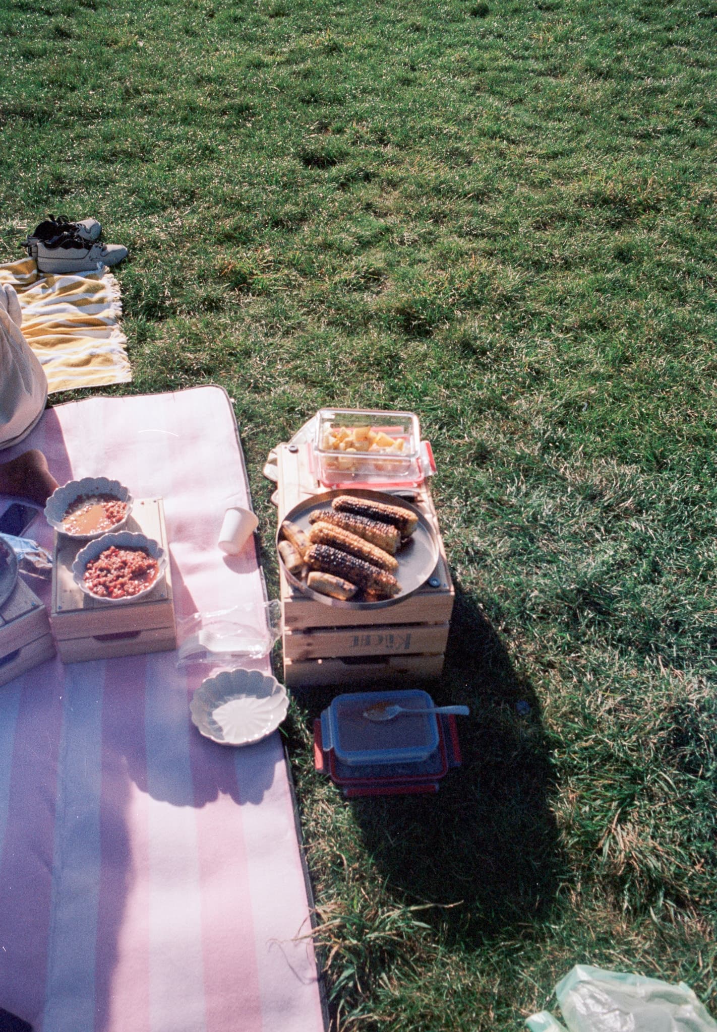 Shot on Pentax ME Super - October 2025