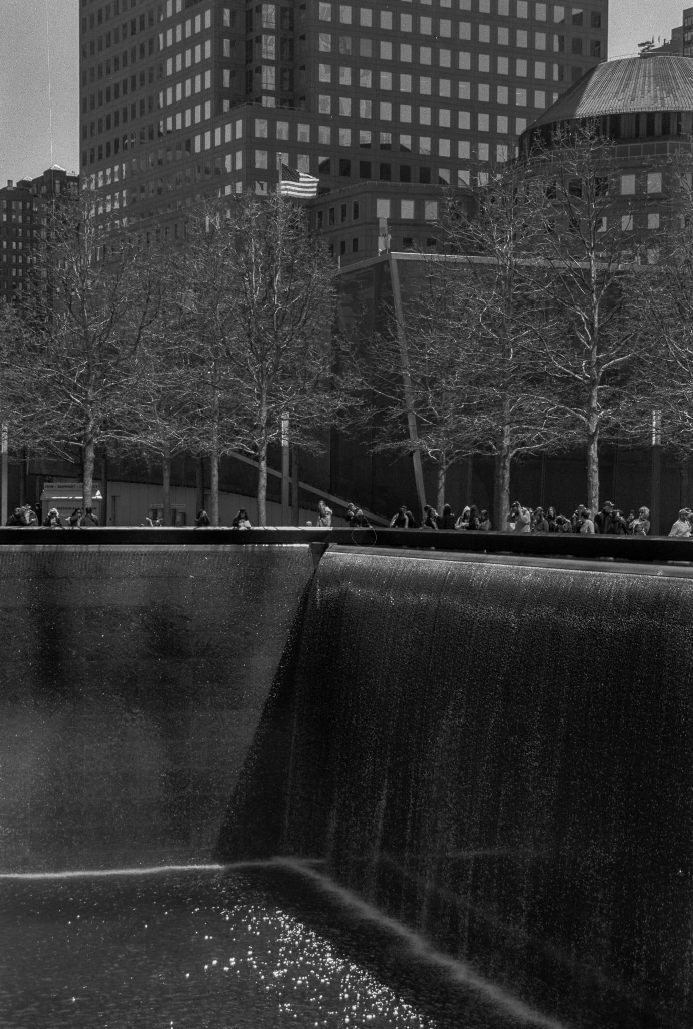 Shot on Pentax ME Super - May 2025