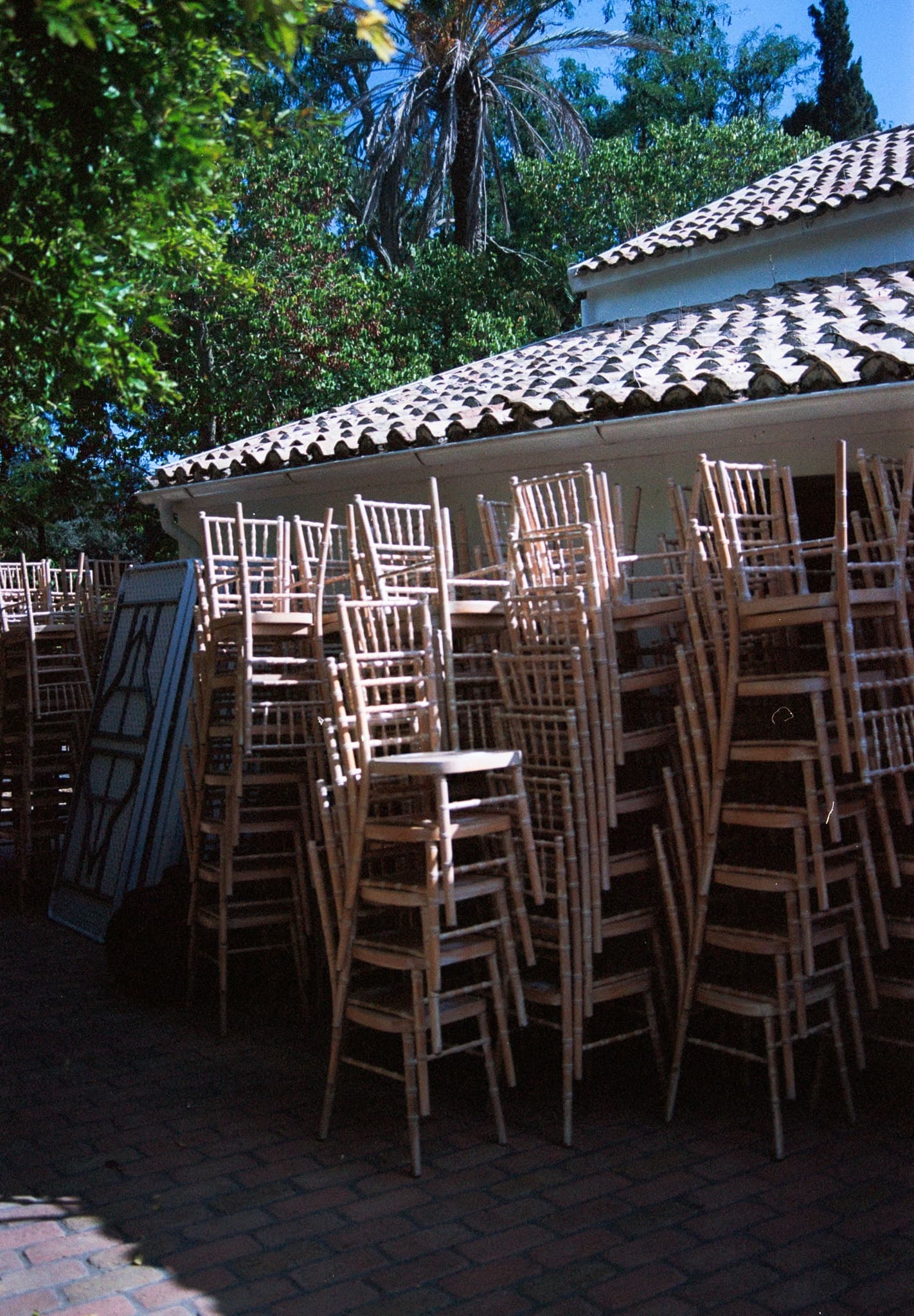 Shot on Pentax ME Super - October 2025