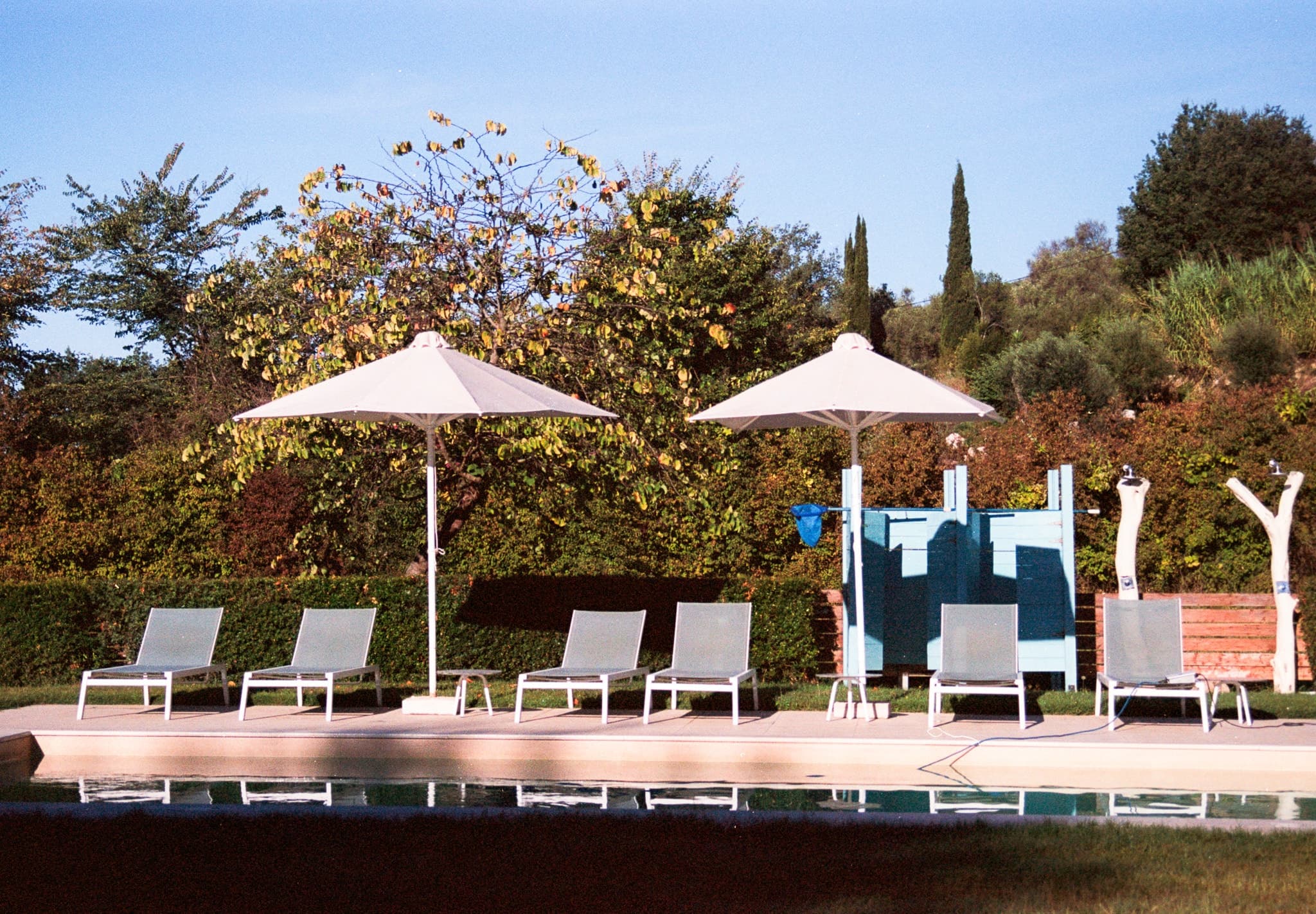 Shot on Pentax ME Super - October 2025