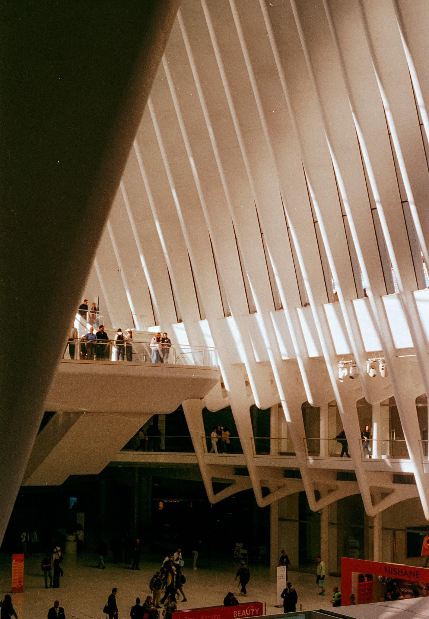 Shot on Pentax ME Super - October 2025