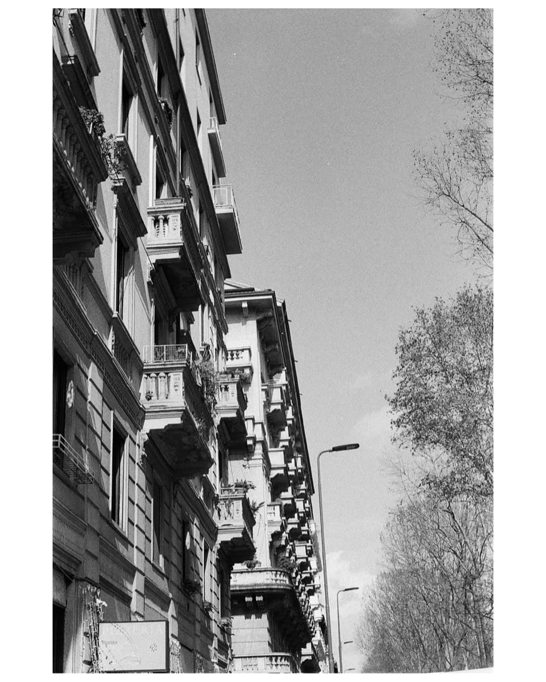 Shot on Pentax ME Super - March 2025