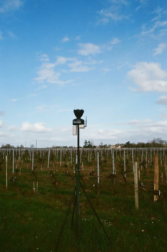 Vineyard Weather Station
