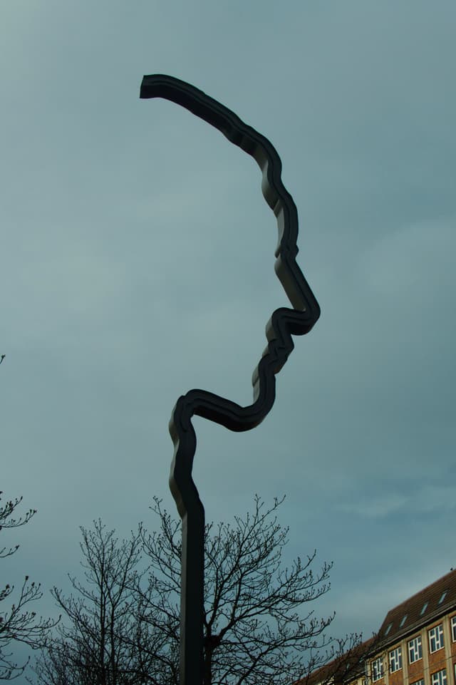 Silhouette in Sky