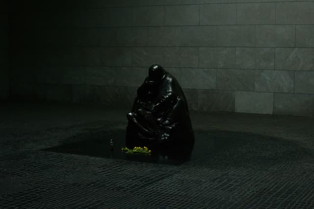 Solitude in Shadows