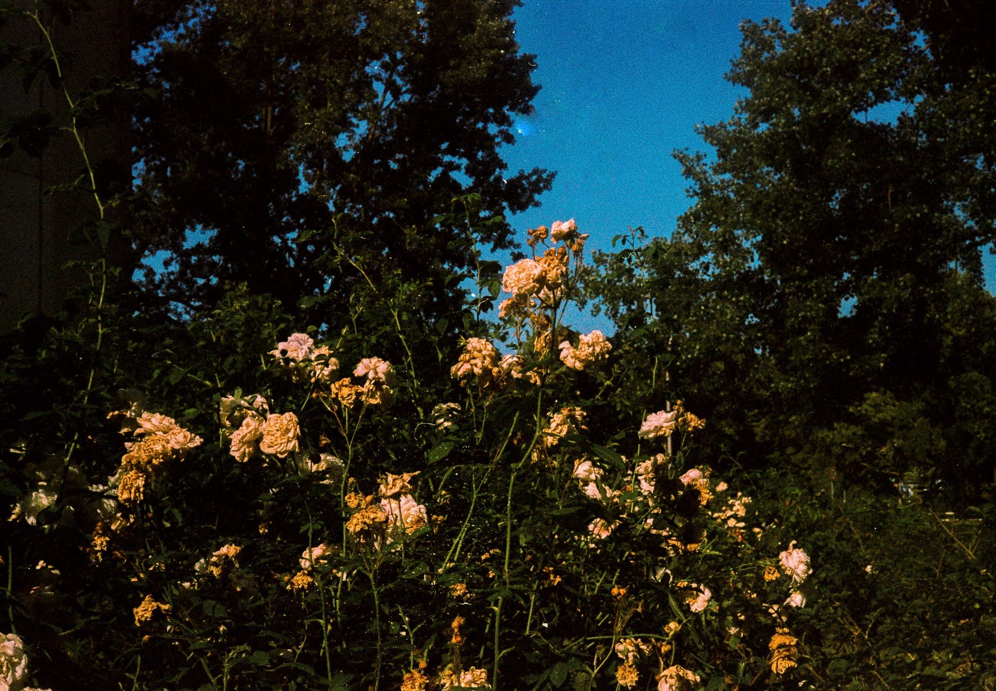 01 JUL 25