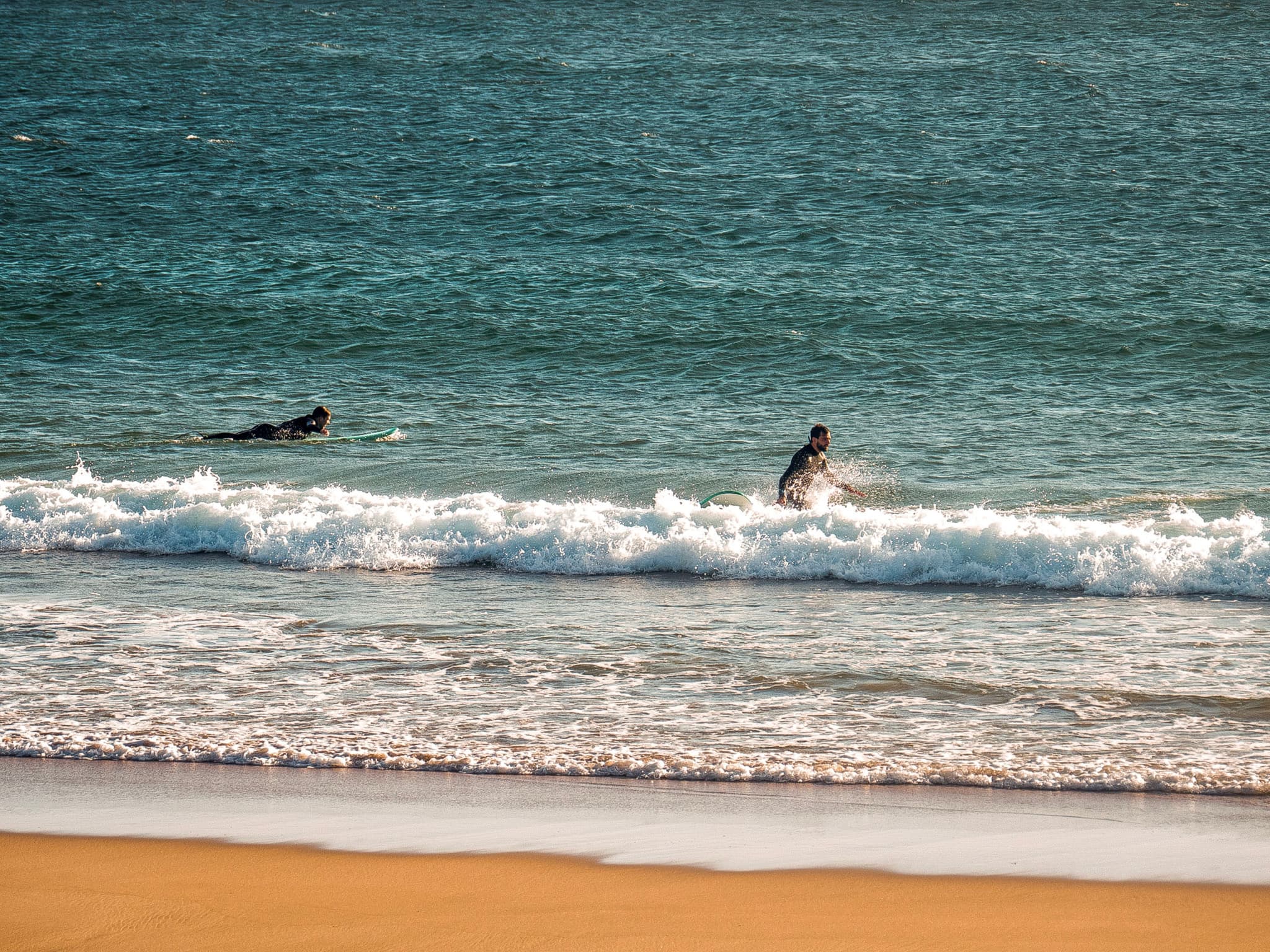 Two people surfing in the ocean near the shore, with gentle waves and a sandy beach in the foreground